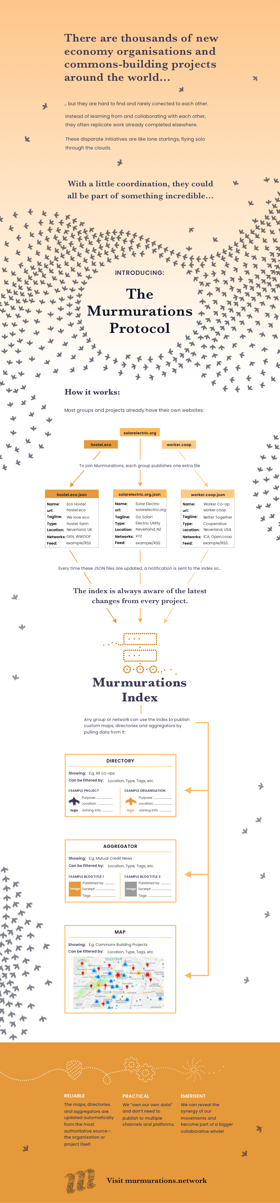 Murmurations Overview Infographic